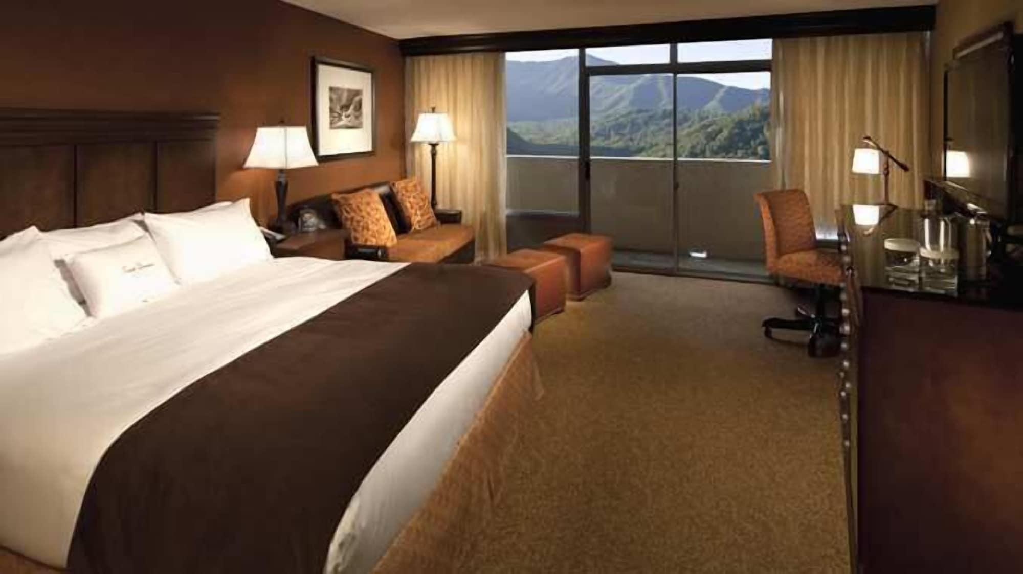 The Park Vista - A Doubletree By Hilton Hotel - Gatlinburg Zewnętrze zdjęcie