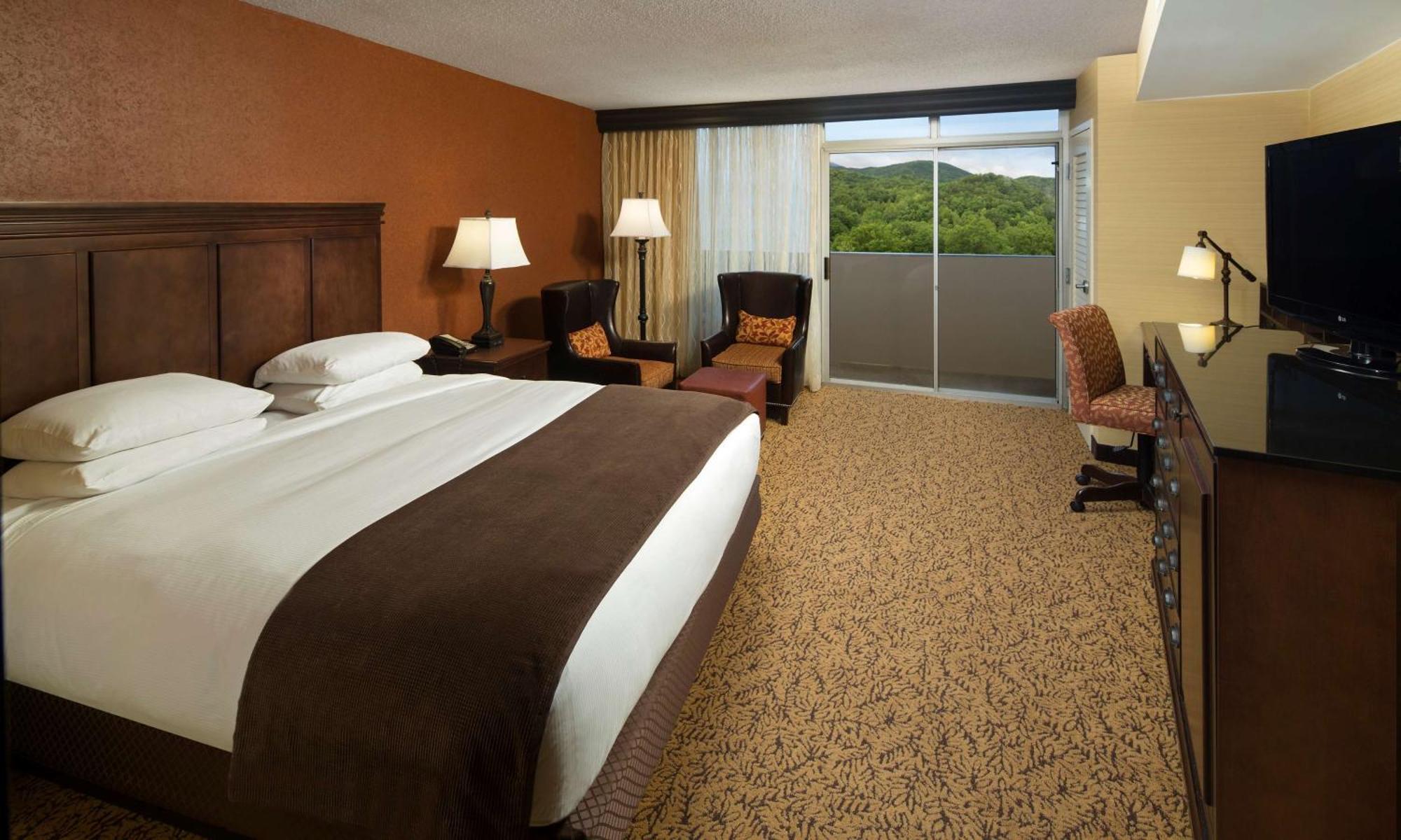 The Park Vista - A Doubletree By Hilton Hotel - Gatlinburg Zewnętrze zdjęcie